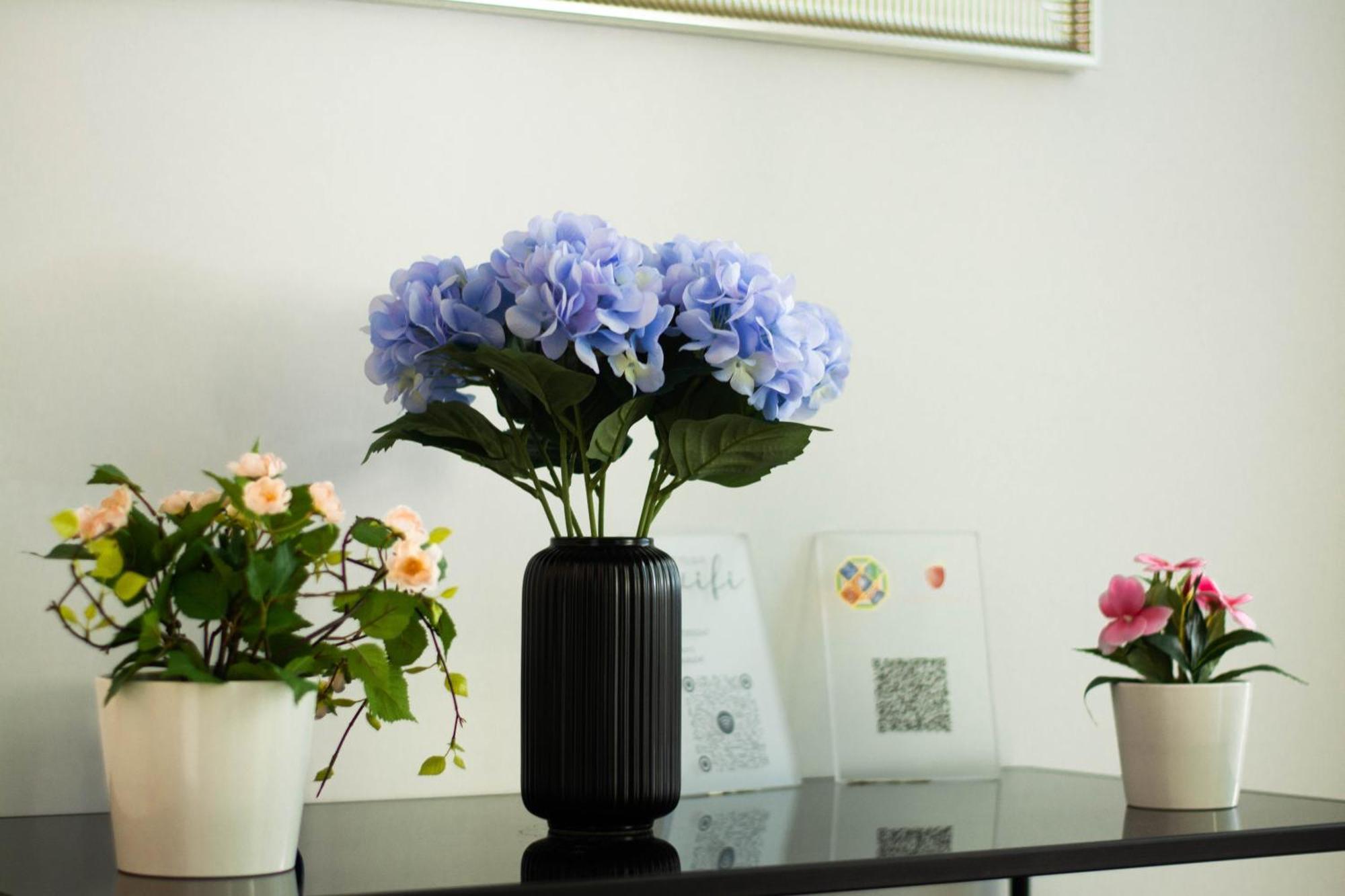 Domus Gianicolo 2B Apartment โรม ภายนอก รูปภาพ