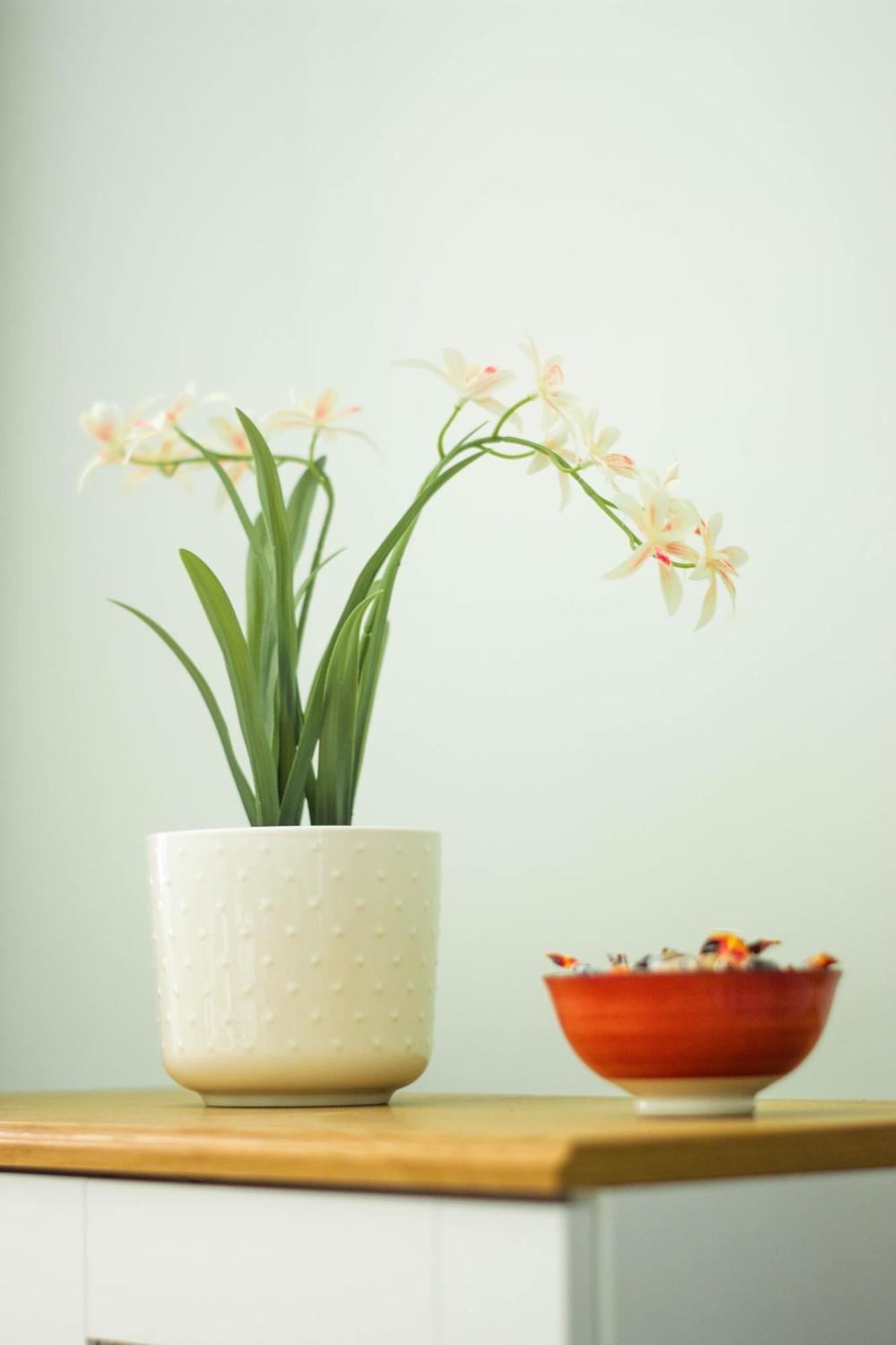 Domus Gianicolo 2B Apartment โรม ภายนอก รูปภาพ